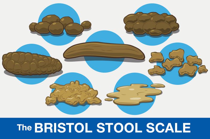 the-perfect-printable-poop-guide-sunfiber